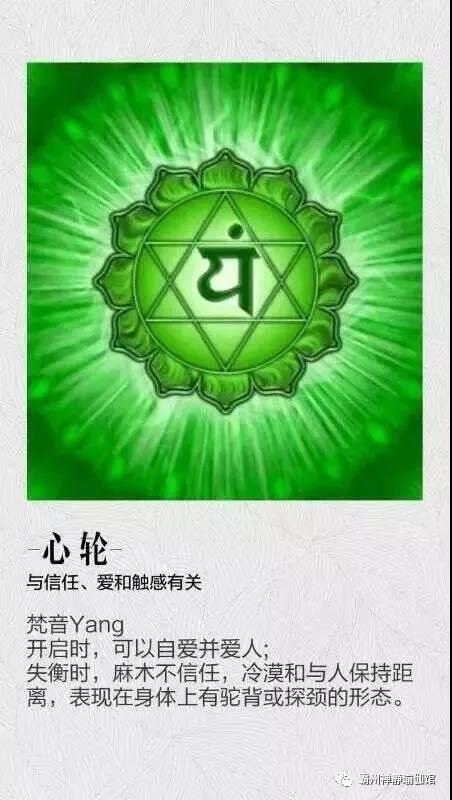 最近很火的变脸游戏_变脸小游戏_变脸游戏手机