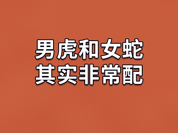 2013年属什么生肖_生肖属年表_生肖属年份