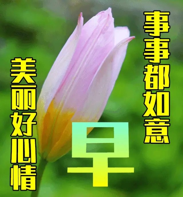 冯威_冯威赫_冯威年