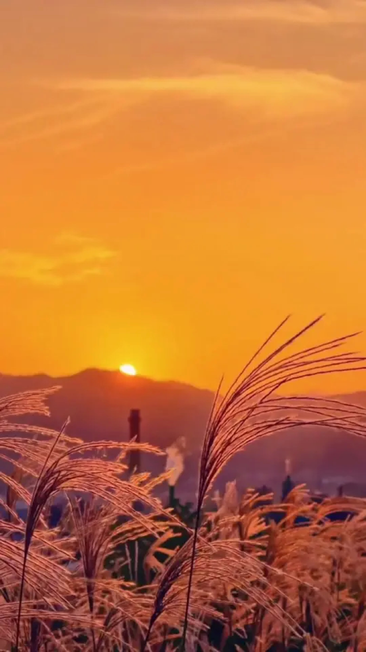 很伤感的风景_风景伤感的手机游戏_伤感的手游