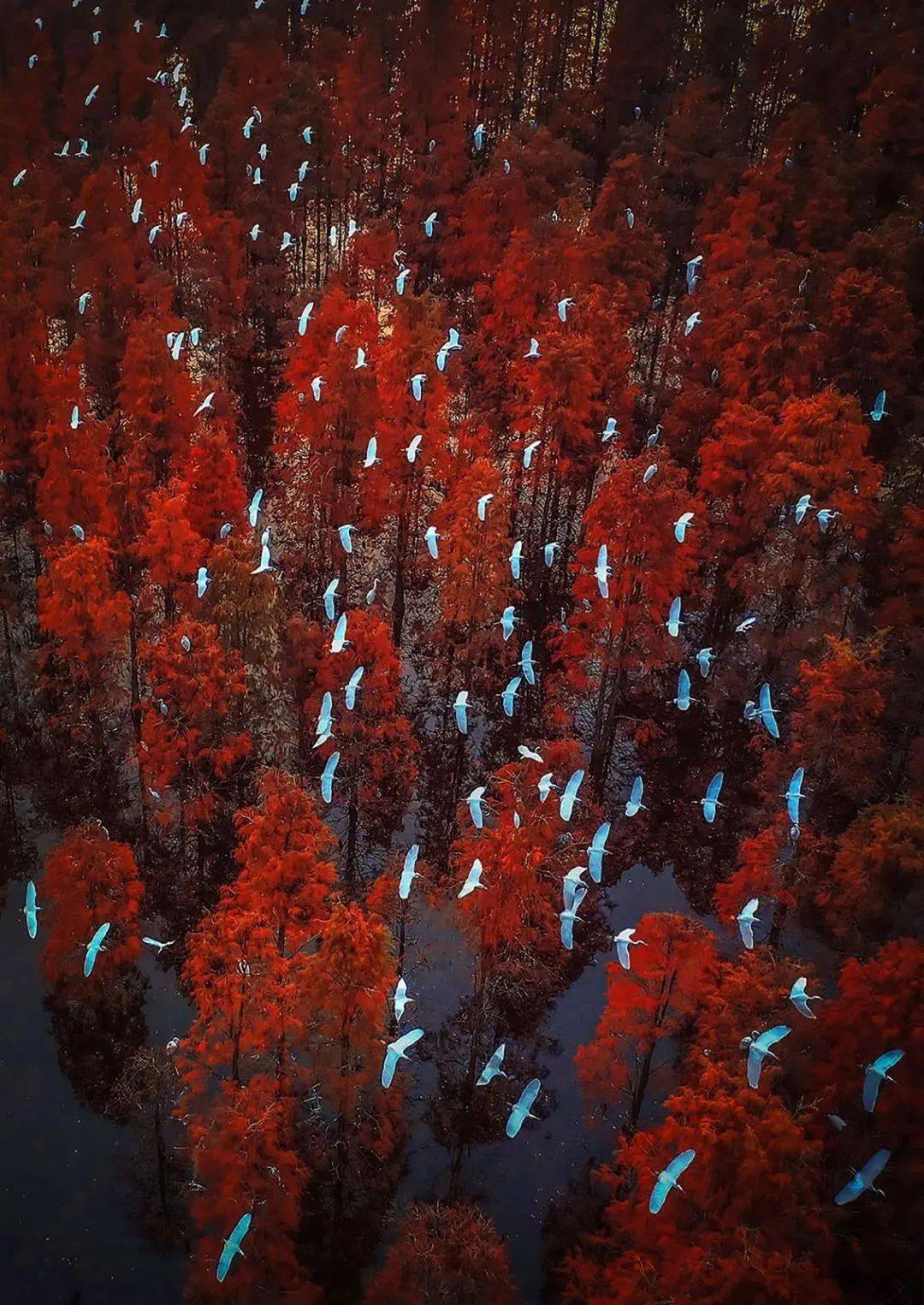 翠海花园_翠之海_翠海明苑
