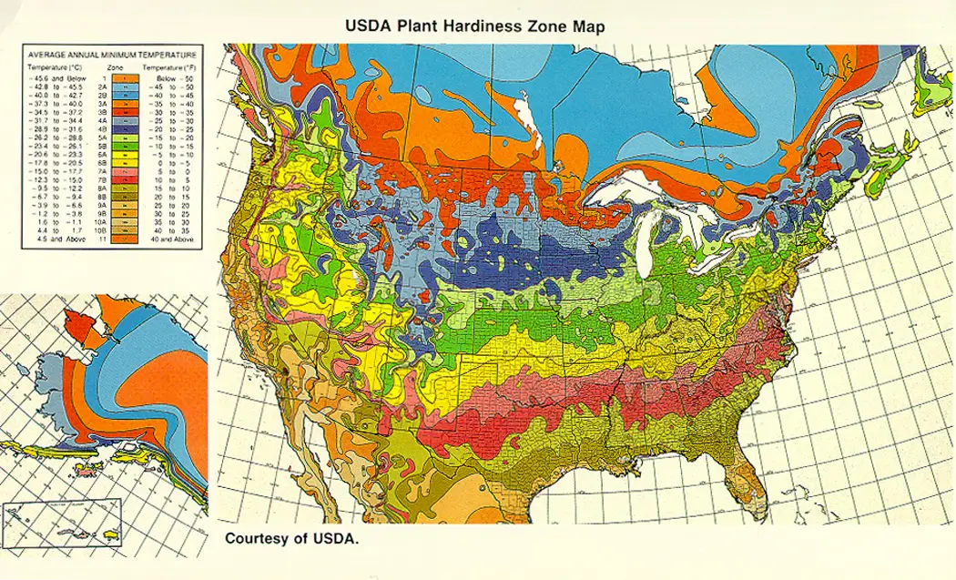 手机游戏平台_zonearthrive手机游戏_手机游戏捕鱼