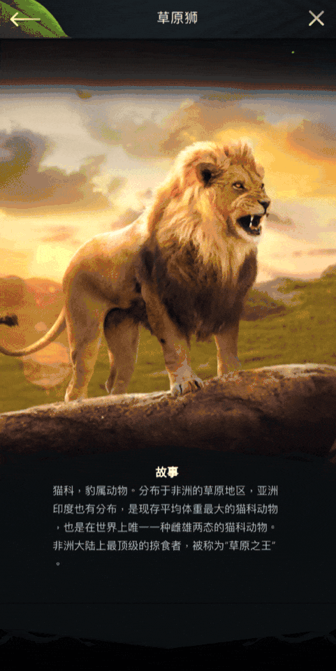 宠物世界手机游戏_手机宠物小游戏_宠物手机游戏