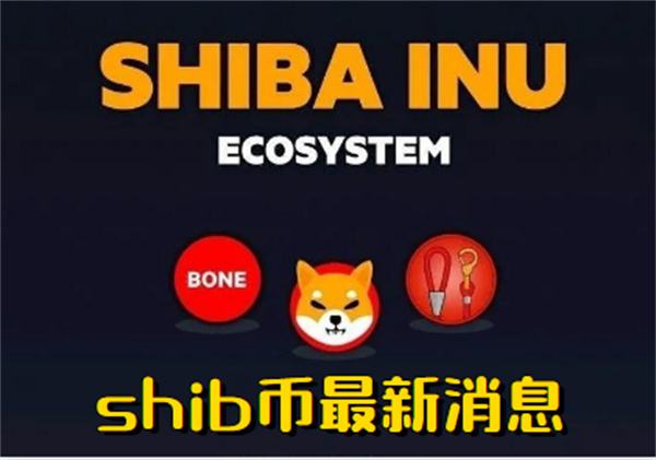 币最新价格行情_币最新价格是多少_shib币最新价格