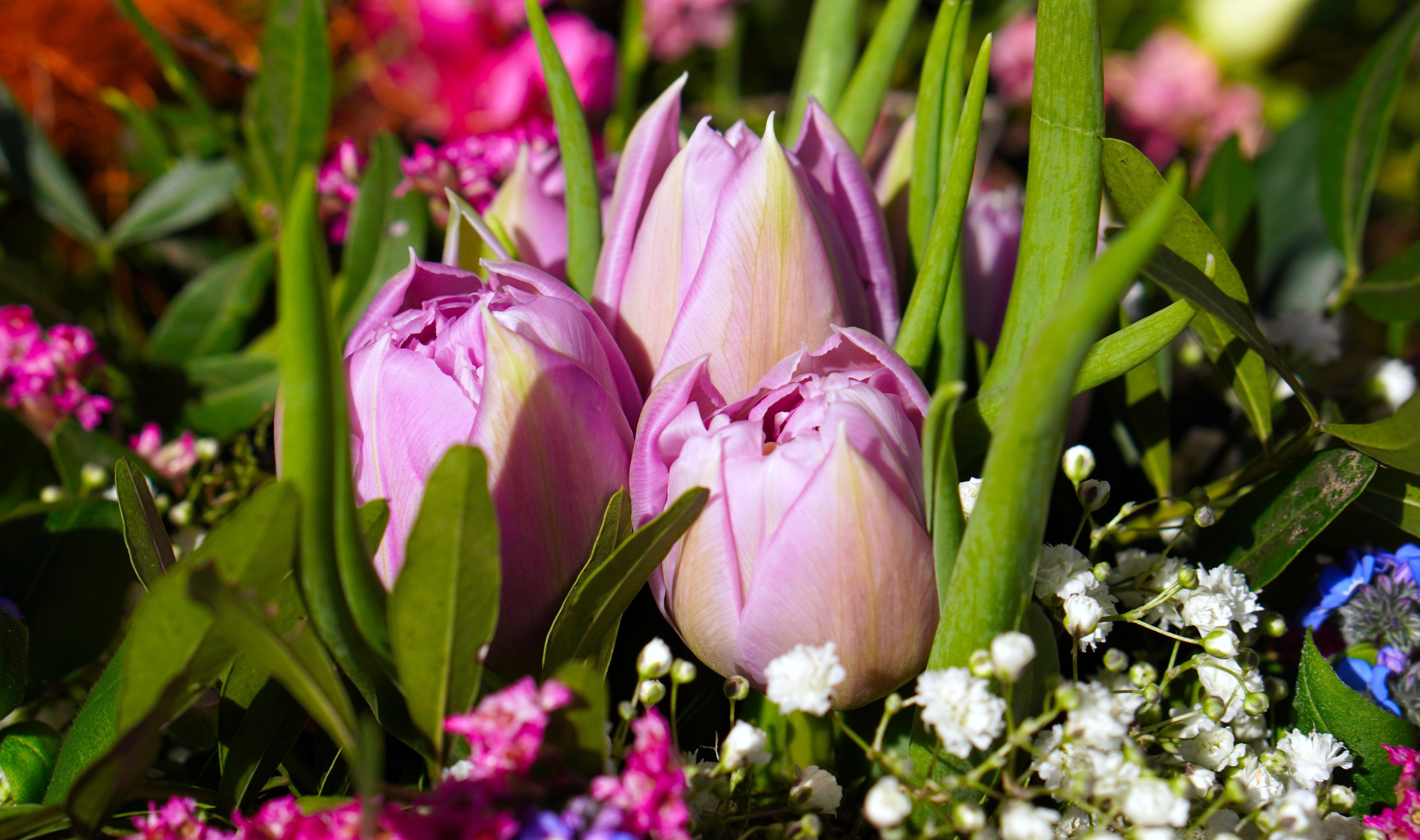 坦白说qq在哪里打开2023_qq坦白说_坦白说qq有句人美声甜