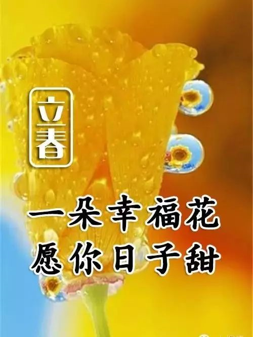 月日是什么日子_3月13日是什么日子_日月日子