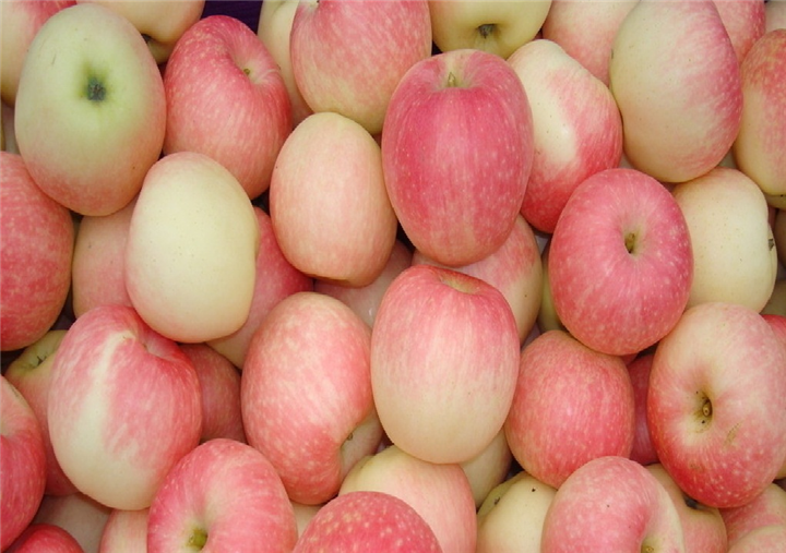 哪个颜色的iphone好看_苹果11公认最好看的颜色_苹果哪个颜色耐看