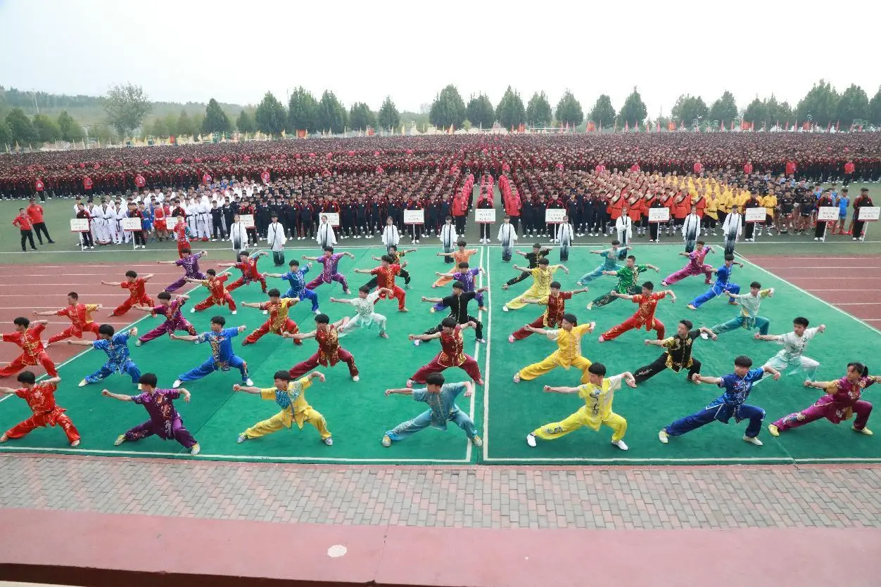 虎拳_拳虎武器_阿五变身铁拳虎