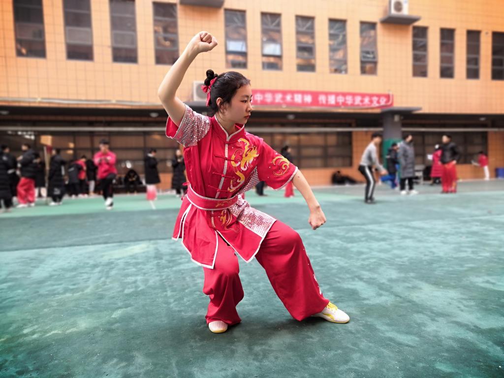 虎拳_拳虎武器_阿五变身铁拳虎