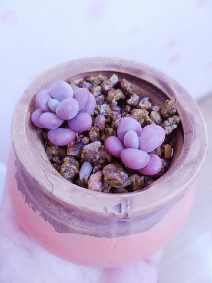 电视游戏手机玩_电视游戏手机手_电视手游游戏