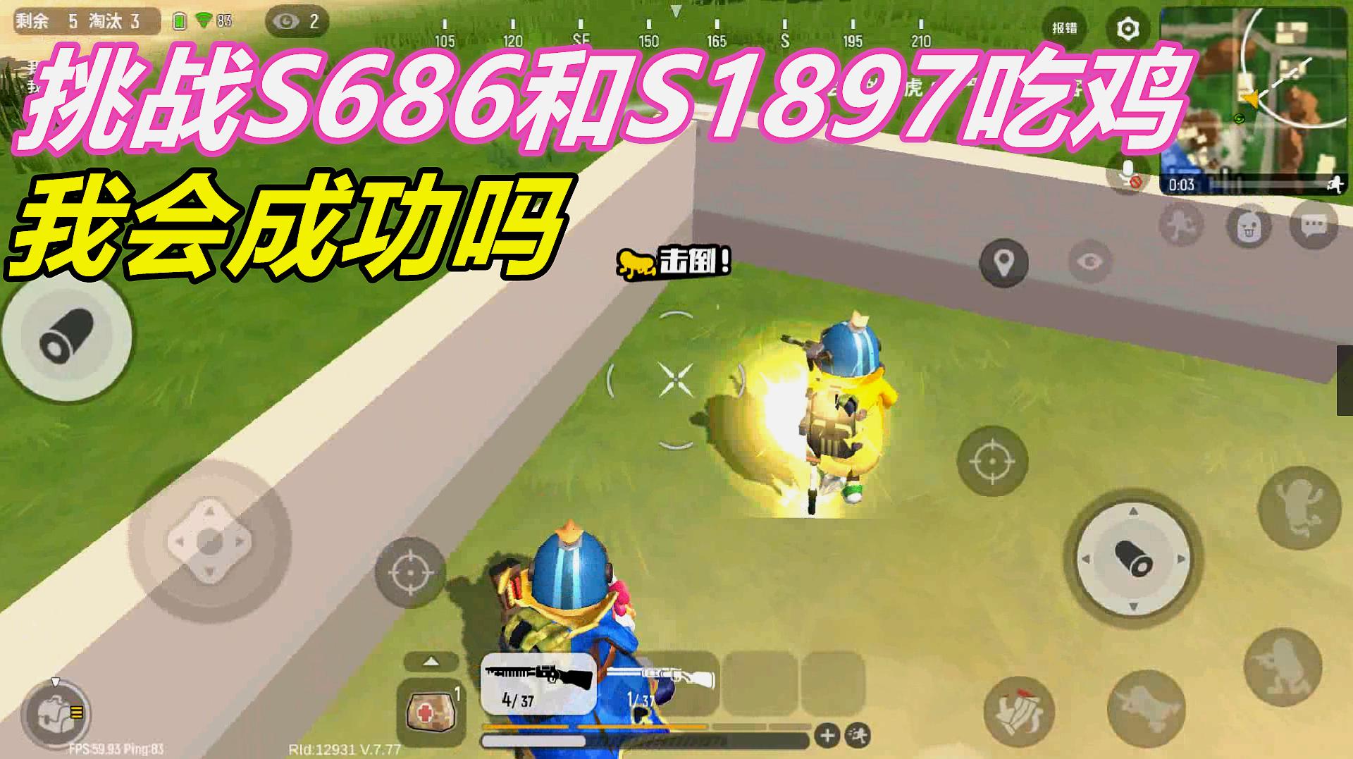 吃鸡手机大作战游戏_作战小鸡有什么用_可吃鸡大作战