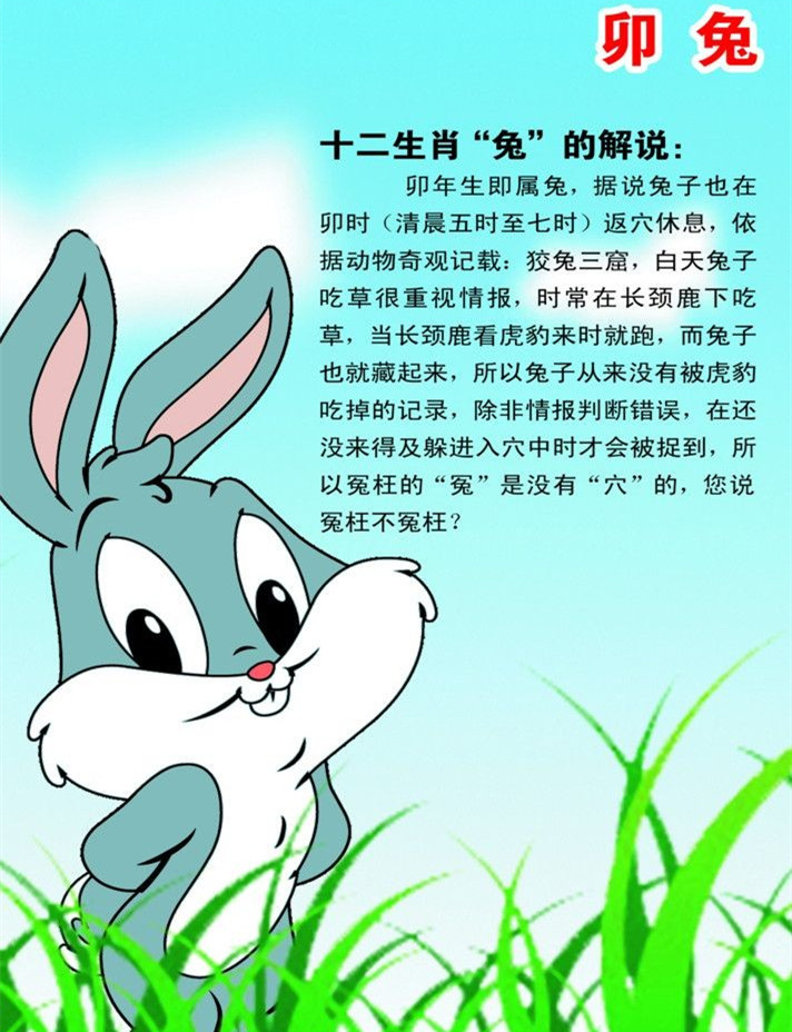 属兔的年份_属兔的年份_兔属性年份