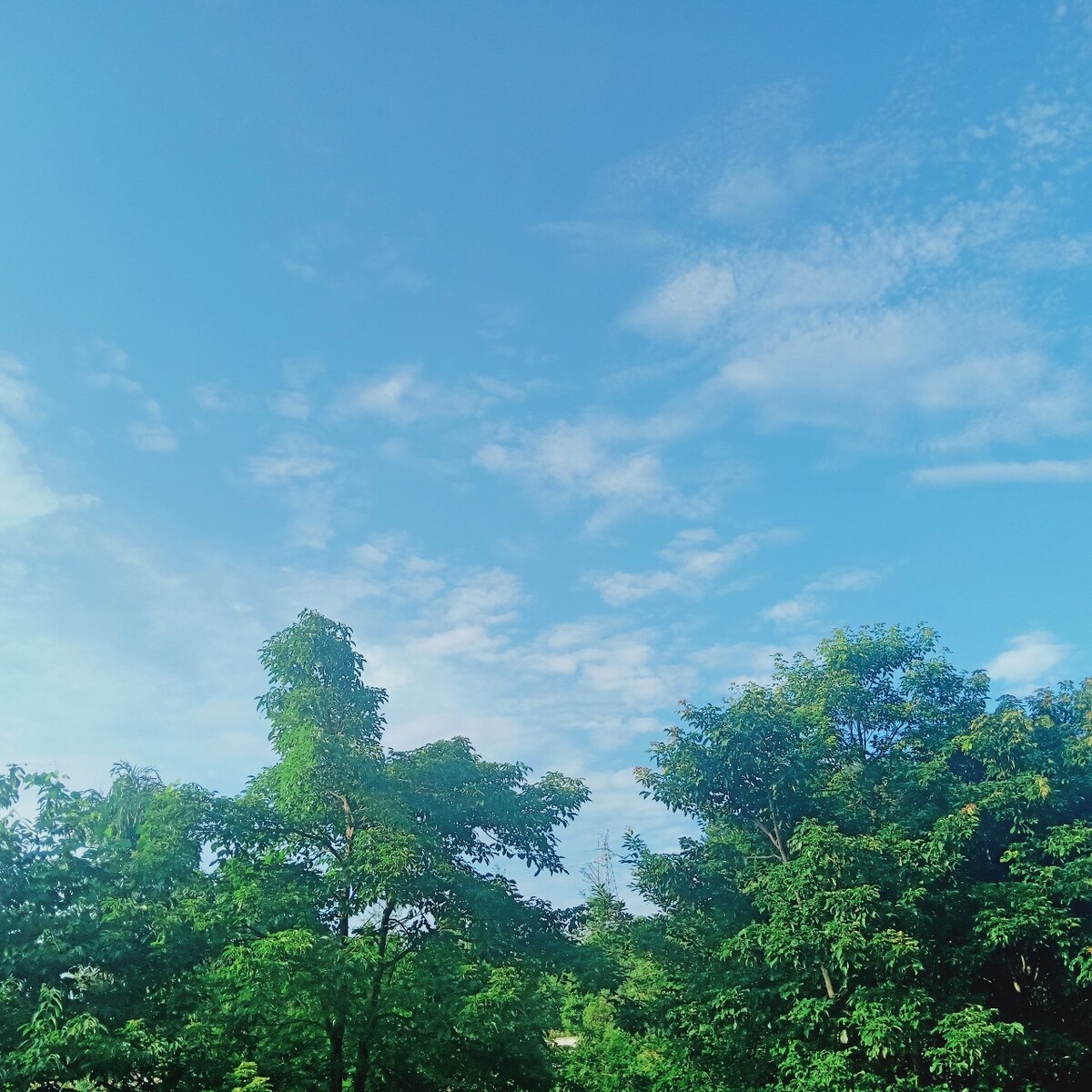 2022年5月5日_月年2023年_那年有润月年