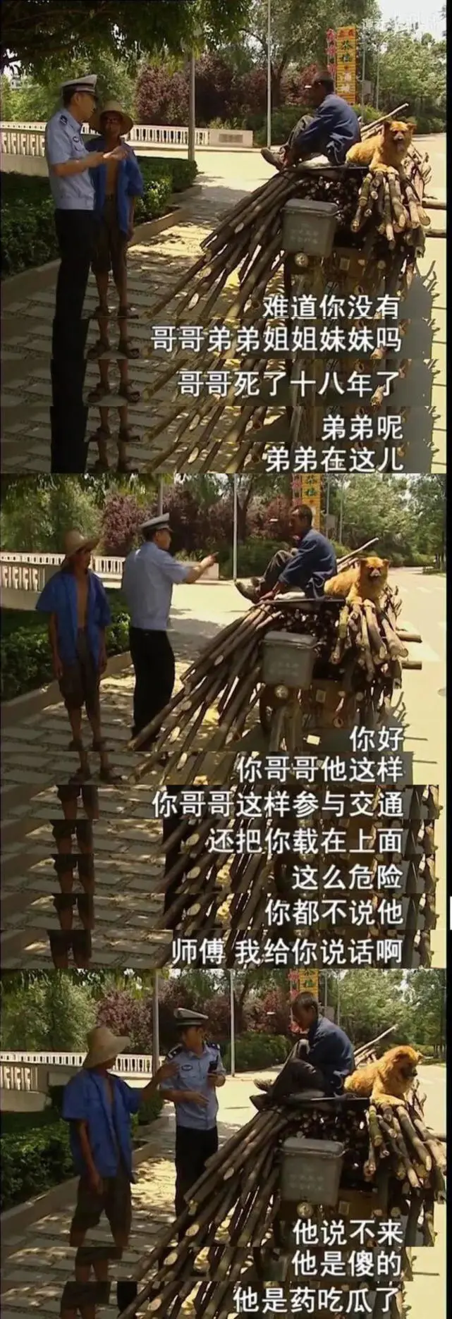 凯特全职猎人图片_猎人图片大全头像_猎人图片
