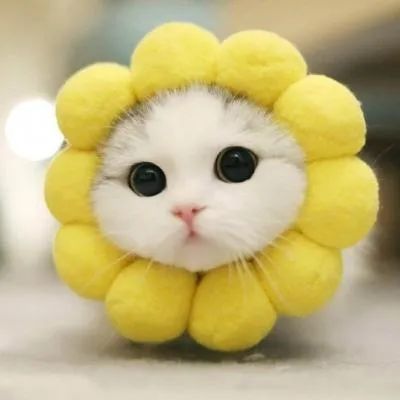 做蛋糕游戏女生版的_5字游戏网名大全女生版_惩罚女生游戏手机版