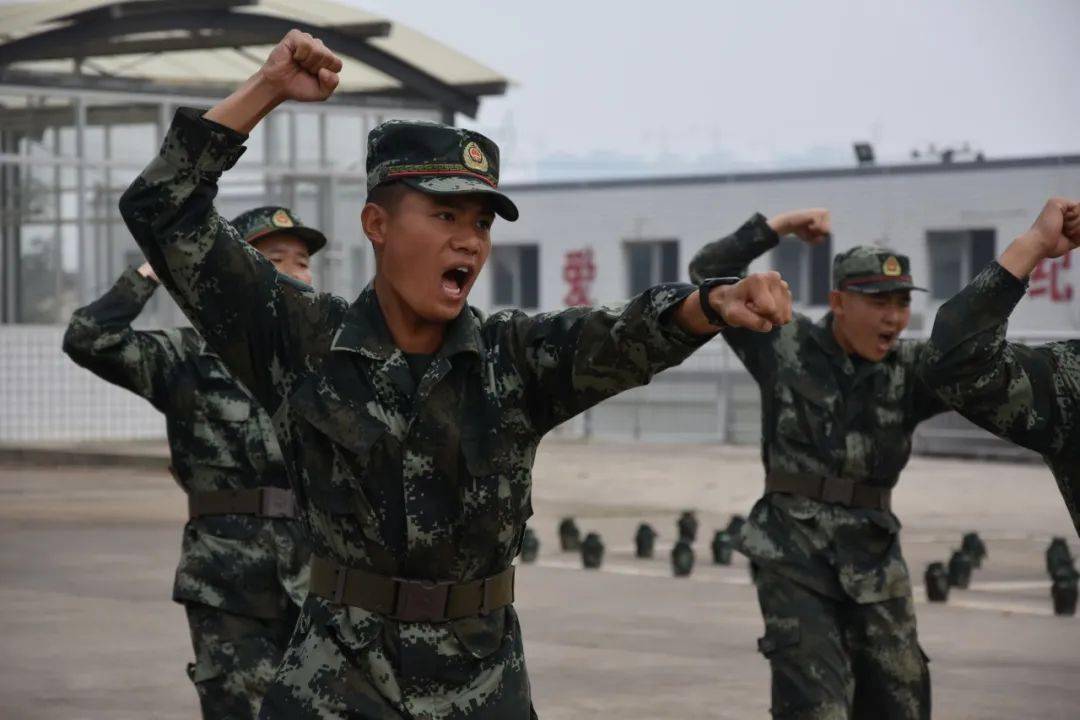 当兵多久能有手机玩游戏_能当兵玩手机游戏有哪些_当兵可以玩手机打游戏吗
