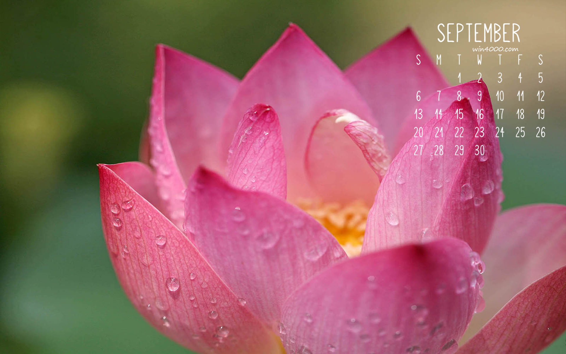 月日年还是日月年_2016年9月23日_那年有润月年