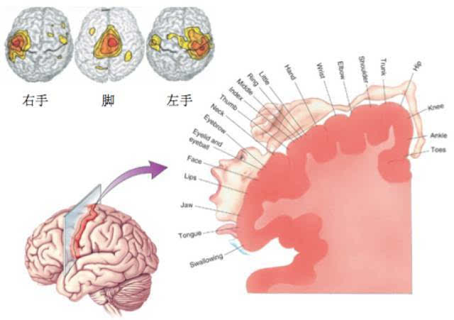 阿凡达游戏3dm_战争世界阿凡达_阿凡达战役手机游戏下载