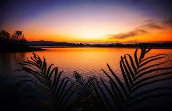 扭曲丛林_扭曲丛林合区了吗_扭曲丛林是哪个区