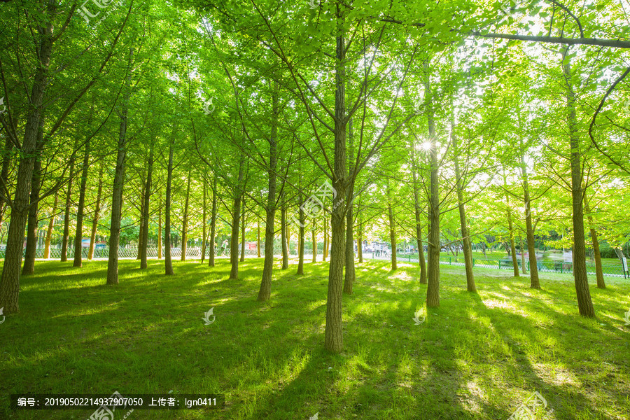 义姐_义姐_义姐