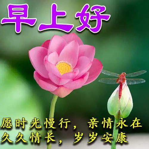 晓歌音乐库_晓歌精二立绘_晓歌