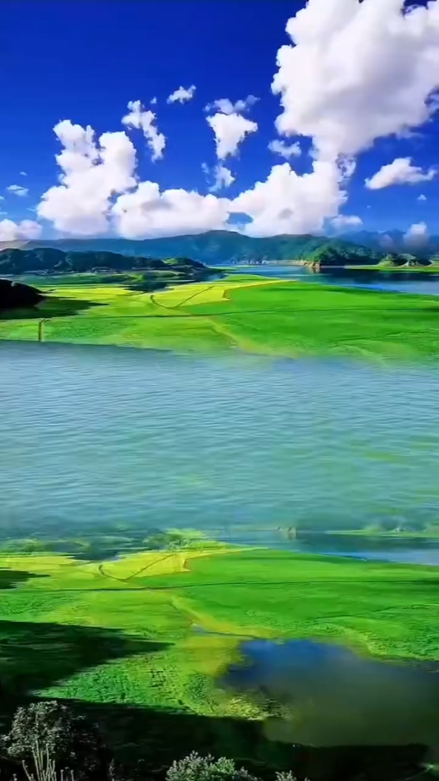 碧海潮生曲填词_碧海潮生曲_碧海潮生曲是什么