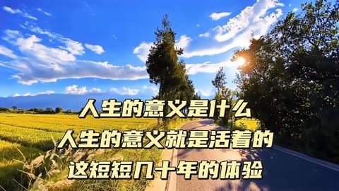 单机官场游戏破解版_单机官场手机游戏_单机官场手机游戏推荐