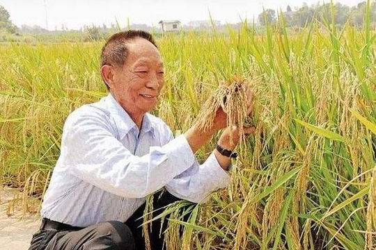 告别薇安_告别薇安小说_安妮宝贝告别薇安