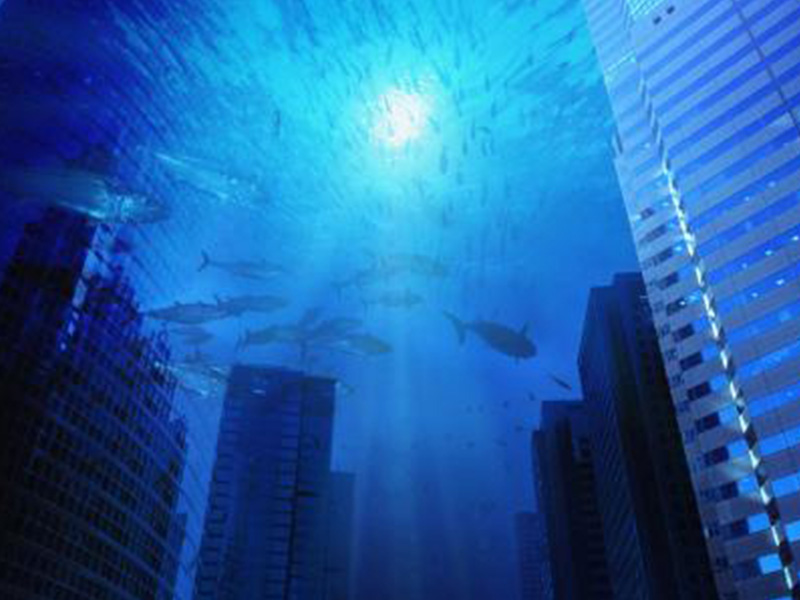 手机游戏捕鱼_手机游戏平台_submerged手机游戏