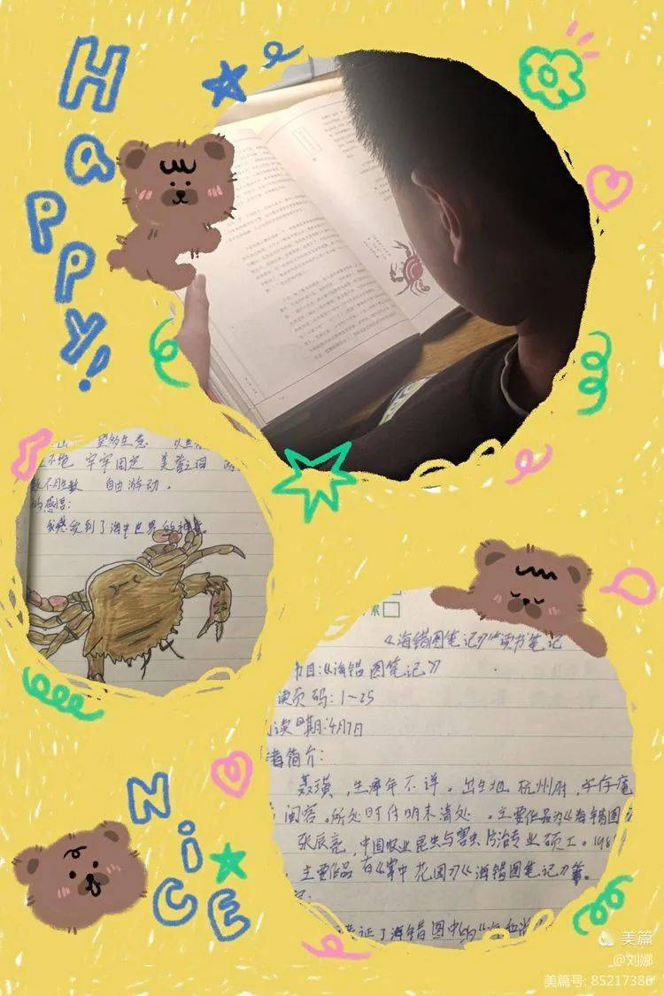诺猫粮_诺猫粮元鹏_猫诺