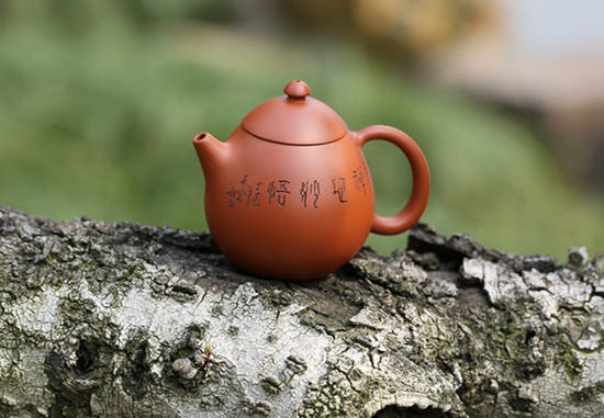 瓦斯塔亚族_瓦斯塔亚小龙虾_瓦斯塔亚