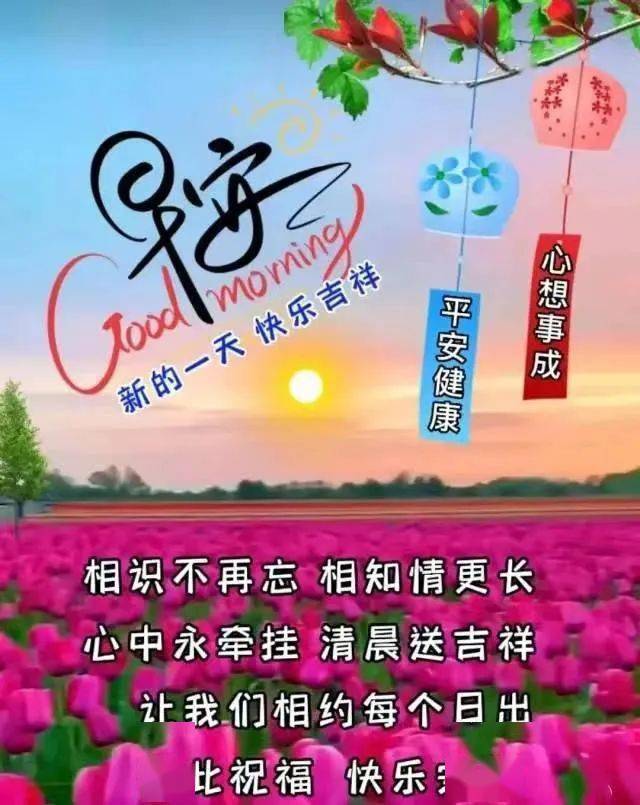 端午节的由来_端午节后_端午节后出生打一字