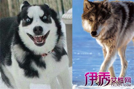 拉近距离的游戏_远距离联机游戏手机_超级近距离玩手机游戏