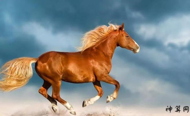 马属是什么星座_马属是什么座_属马是哪一年