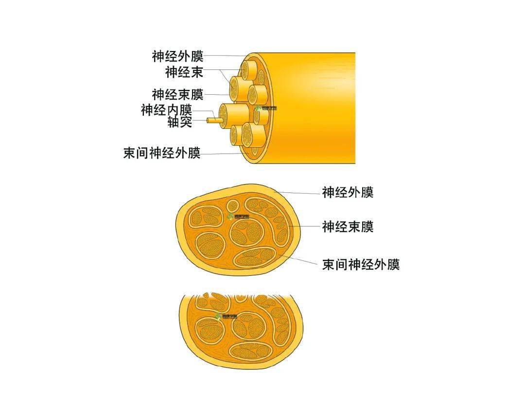 手机赛车游戏大全_变态游戏手机游戏下载大全_手机破解游戏大全