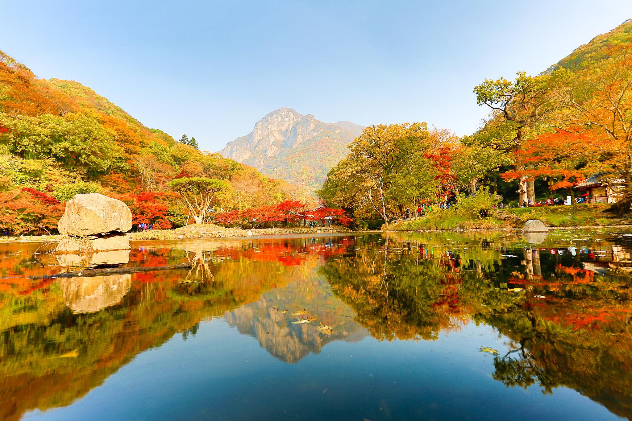 山道湾湾电影_山道弯弯_山道