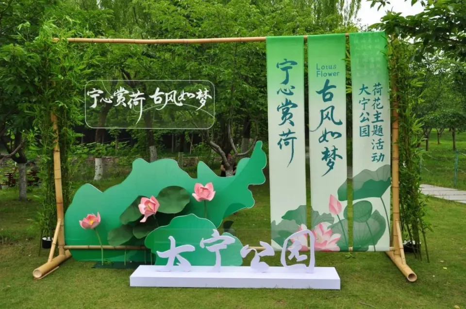 飞花令手机游戏_飞花令在线游戏_飞花令游戏软件