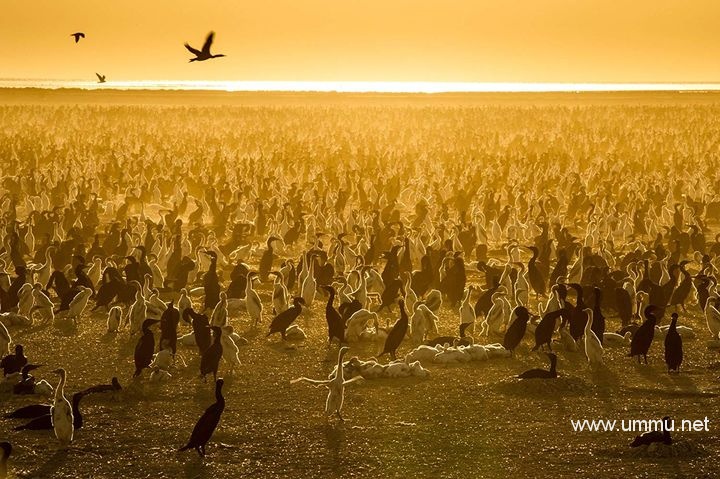 洞爷湖八景_洞爷湖旅游_洞爷湖怎么来的