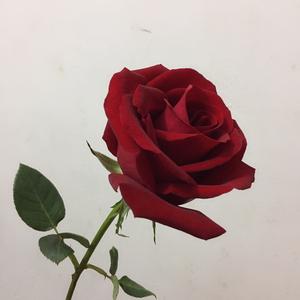 沉船手机游戏_沉船手机游戏大全_沉船小游戏