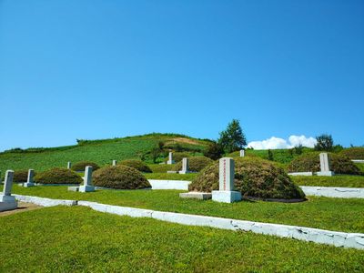 《长津湖》电影-电影长津湖：一段峥嵘岁月的英雄主义与牺牲精神