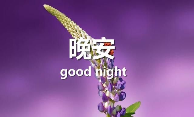 文子音乐传媒_音羽文子_文子作曲作品
