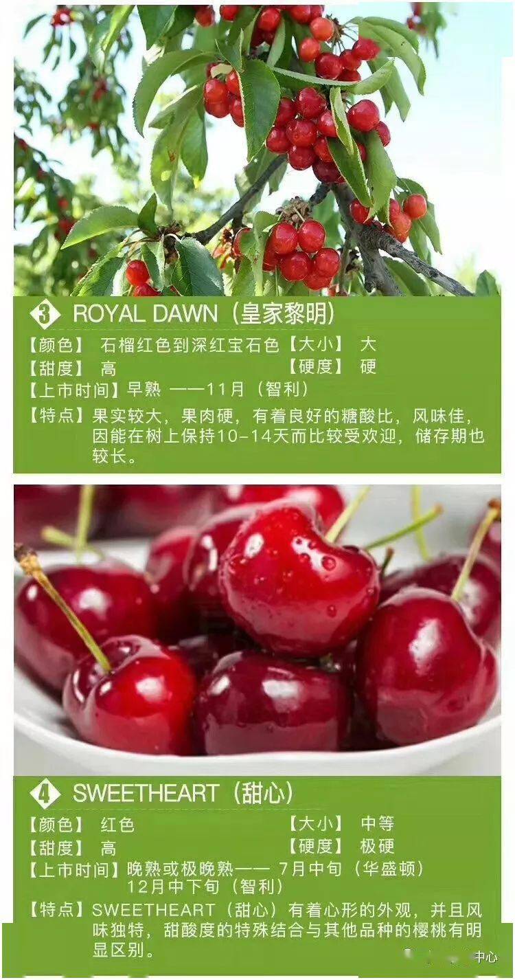 巴豆手机游戏_巴豆手机游戏_手机巴豆游戏怎么玩