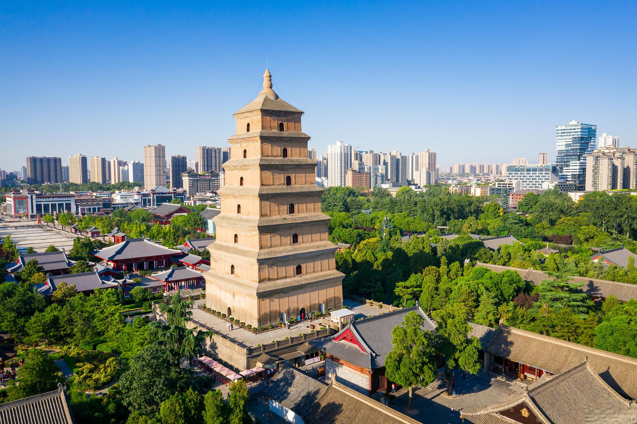 犯罪都市1_2022年犯罪都市2中语_犯罪都市中文说的