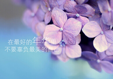 好玩手机游戏排行榜前十_2018好玩的手机游戏_好玩手机游戏排行榜
