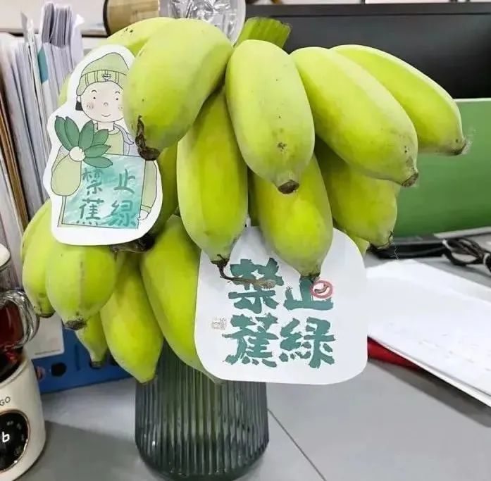 无限宝_无限宝官网_无限宝可梦