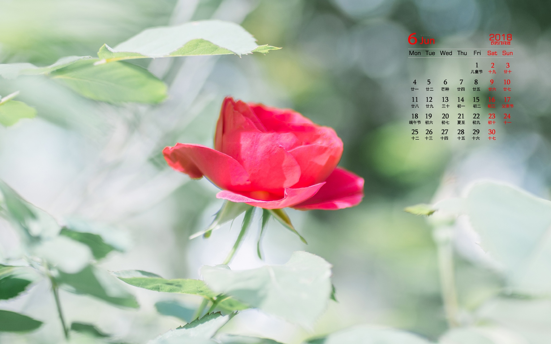 月历月历_6月月历_月历月是什么