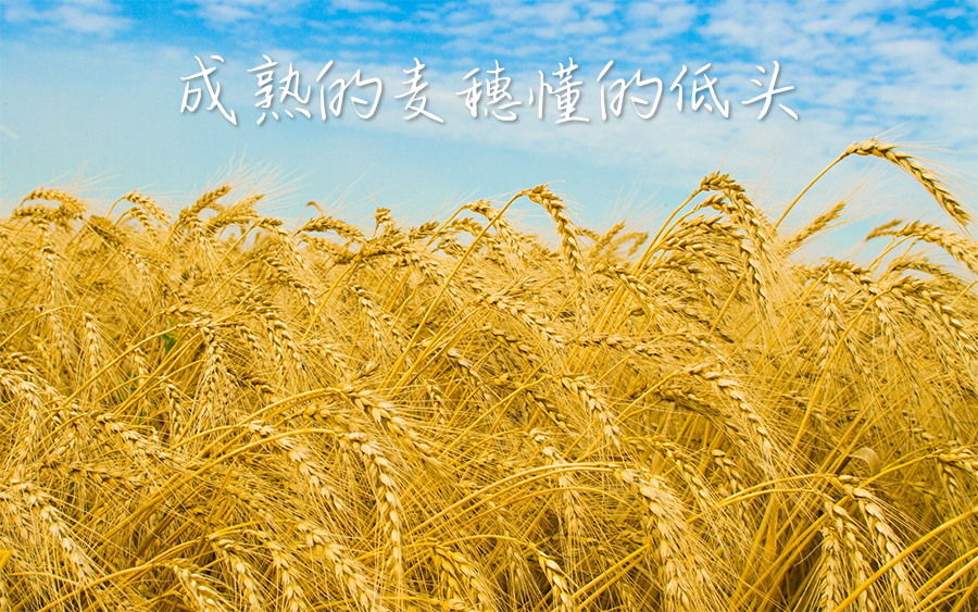 正则表达式定义的语言_c++正则表达式语法_c语言正则表达式函数库