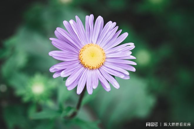 出轨的手机游戏_逐渐出轨在线手机观看_出轨女人电影完整版手机