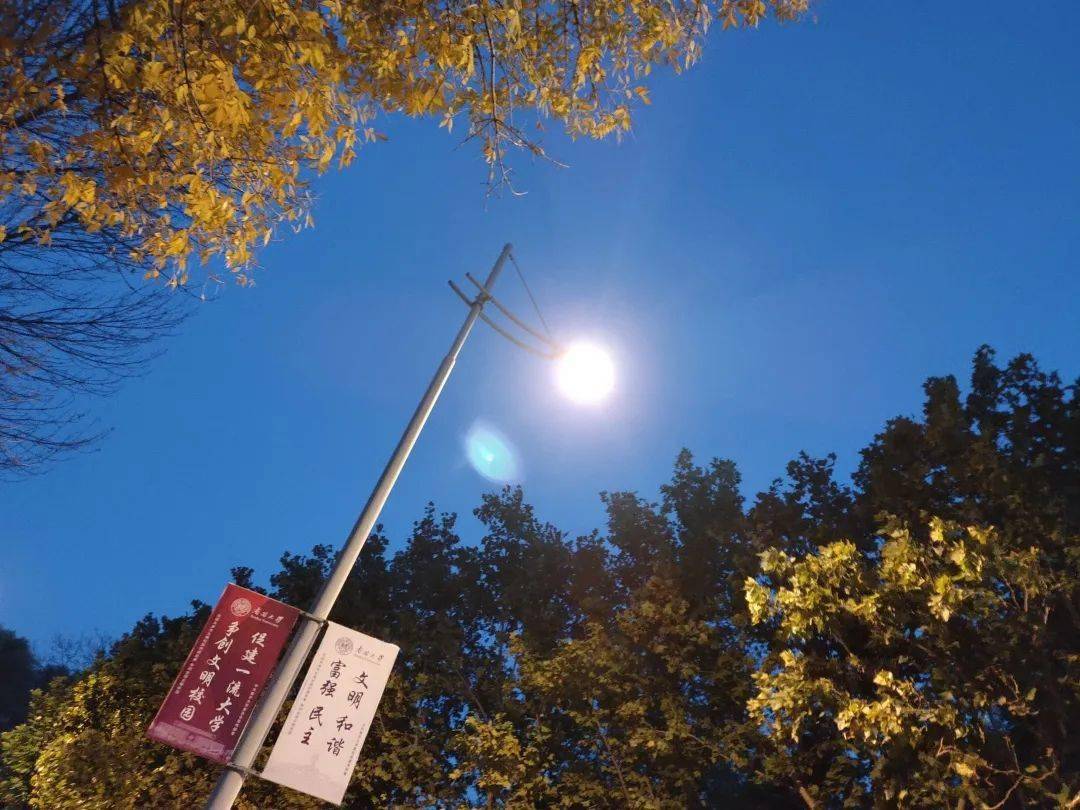 奈飞下载_下载奈飞客户端_ps5怎么下载奈飞