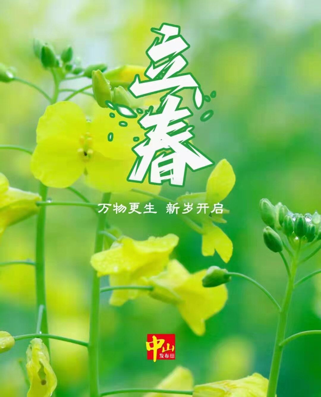 人日立春_立春人去逝有什么意义_立春人们会做什么事情